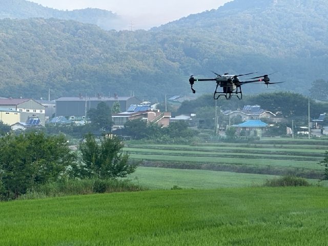 25년 벼 드론방제 첫방제실시  대표 이미지